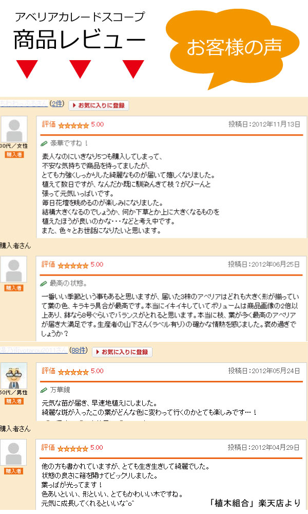 アベリア カレードスコープ レビュー 評判
