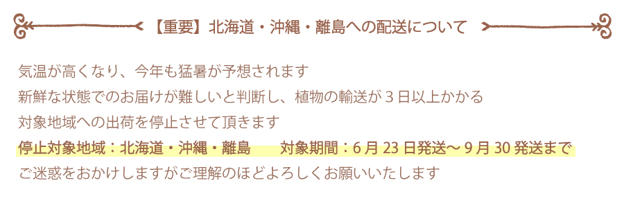 夏　出荷停止について　2025 　900px