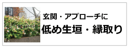 低い生垣　縁取り