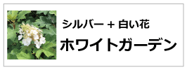 ホワイトガーデン