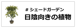 日陰　シェードガーデン