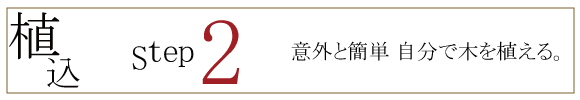 自分でできる！庭木植木の植え方　