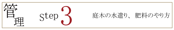 自分でできる！庭木植木の植え方　