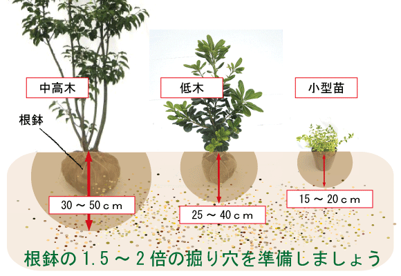 自分で植えよう まずは 土 をチェック 植木組合 本店