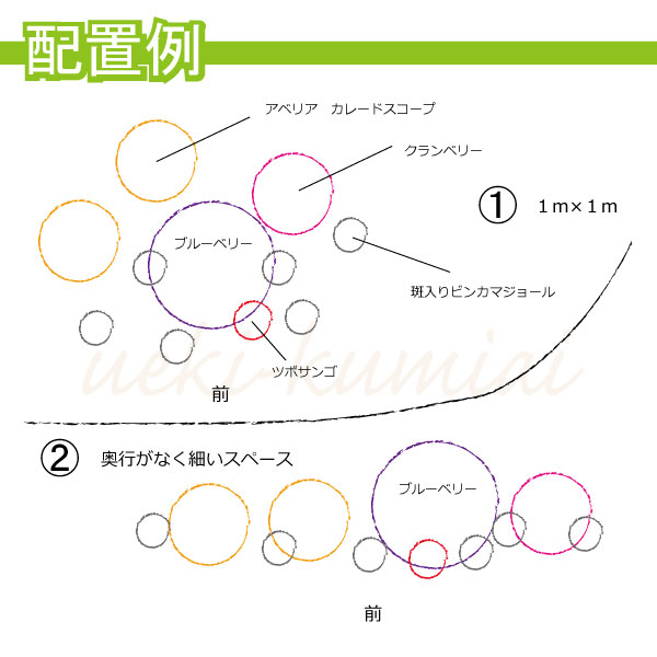 配置図　ガーデンセット　ベリー