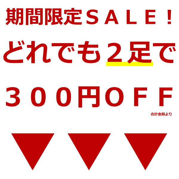 バードウォッチング長靴　レインブーツ　日本野鳥の会