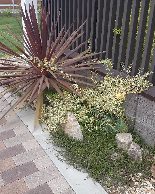 植栽例から選ぶ 植木組合 本店