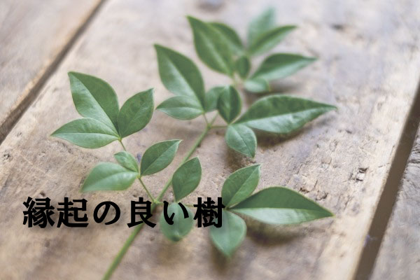 ーーーーーーー 縁起の良い木 植木組合