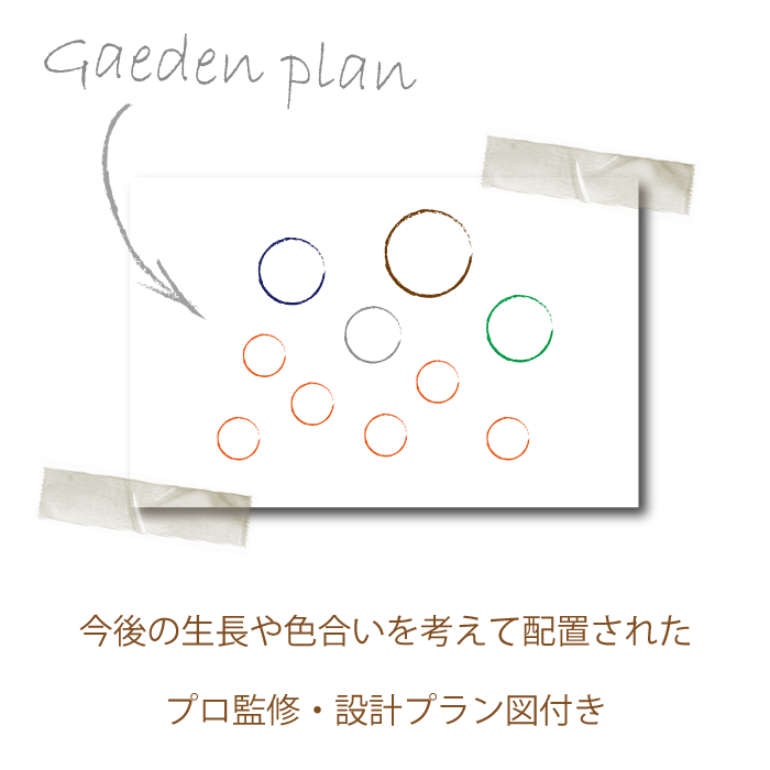 ガーデンセット　植木組合オリジナル