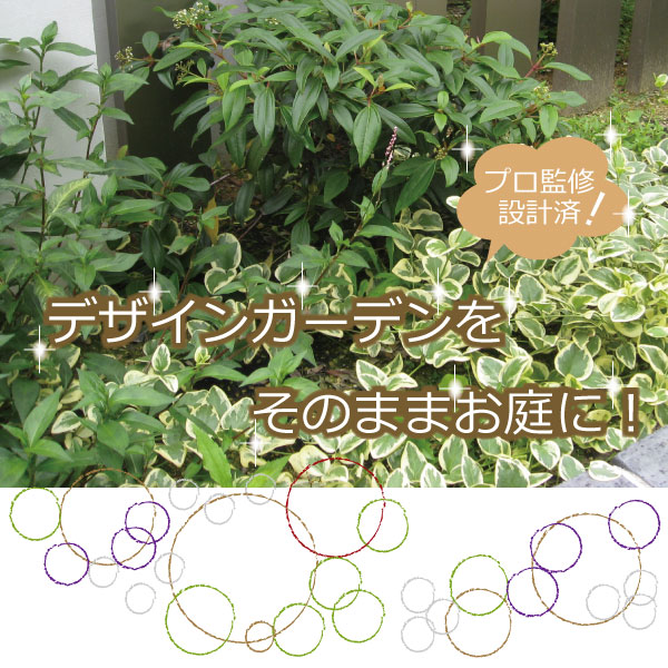 ガーデンセット 植木組合