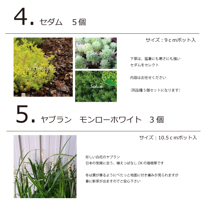 ガーデンセット　S　【カフェスタイル】【アーバン】　プロ監修　配置案・ガイド・肥料・手袋付き　植木組合オリジナル