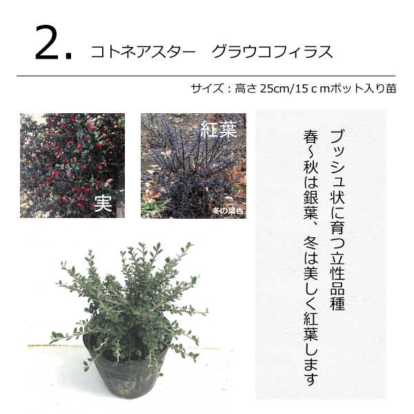 ガーデンセット　プロヴァンス　植木組合オリジナル　