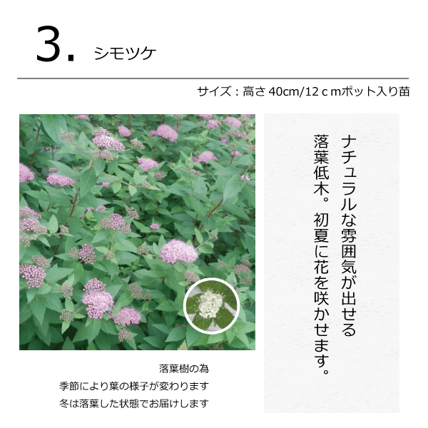 ガーデンセット　プロヴァンス　植木組合オリジナル