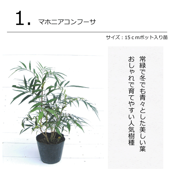 ガーデンセット S リーフガーデン プロ監修 配置案 ガイド 肥料 手袋付き 植木組合オリジナル