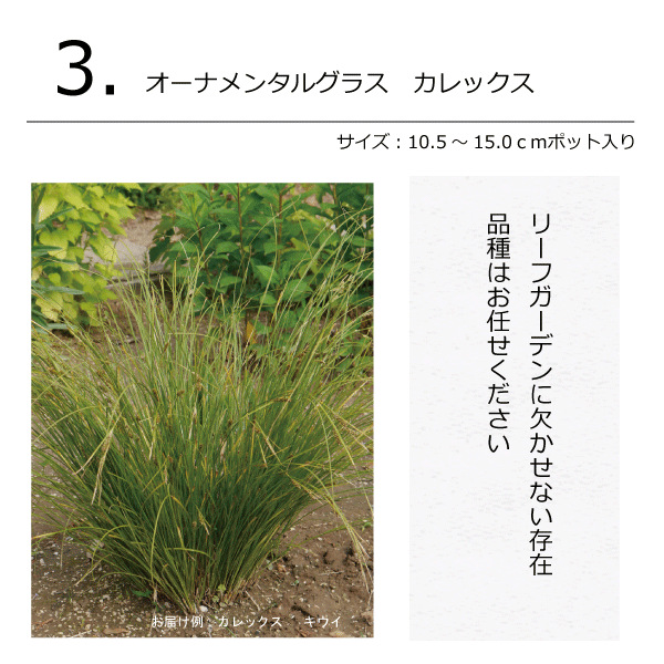 ガーデンセット S 【リーフガーデン 】 プロ監修 配置案・ガイド・肥料・手袋付き 植木組合オリジナル