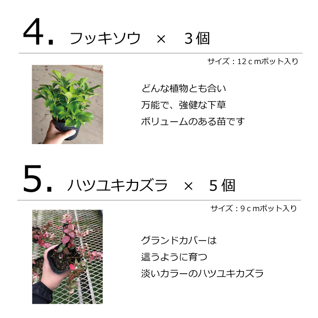 ガーデンセット　S　プレーン　植木組合