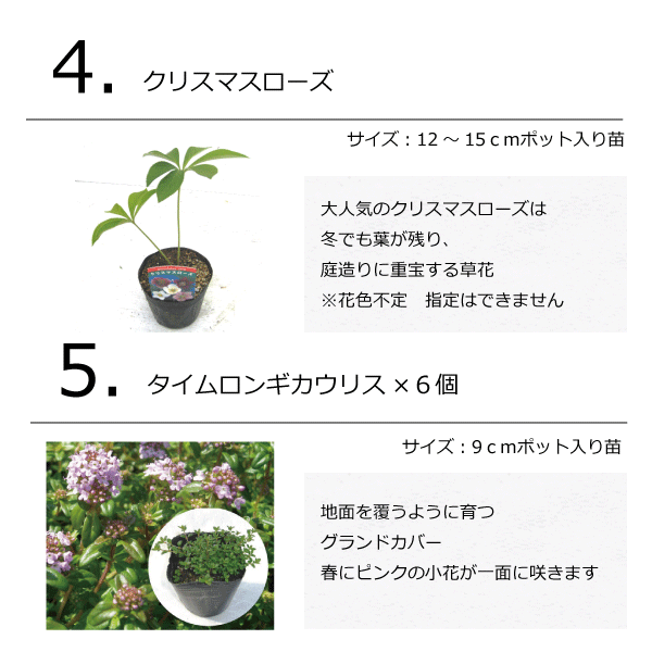 モダンガーデンセット　植木組合