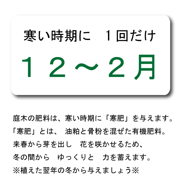 Howto 月ごとの庭管理 植木組合 本店