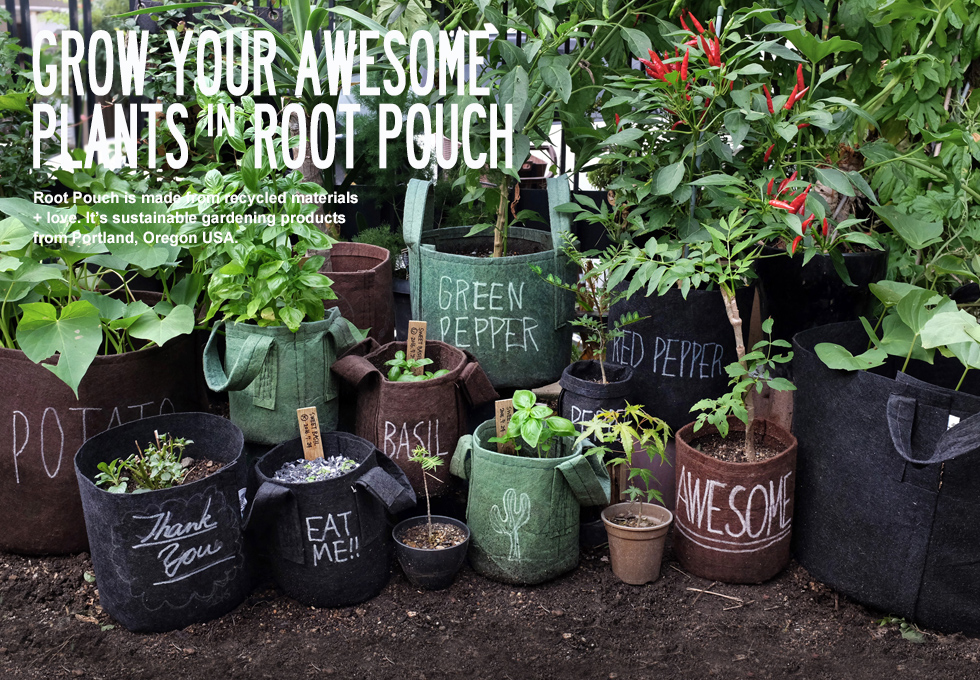 ルーツポーチ　rootpouch 植木鉢　おしゃれ