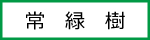 常緑樹バナー小