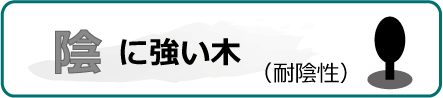 気候条件　陰に強い