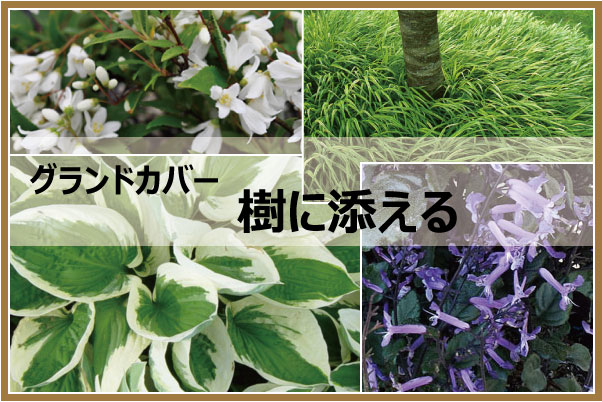 樹に添える 植木組合