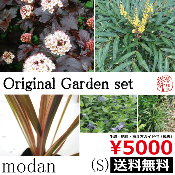 モダンガーデンセット　植木組合
