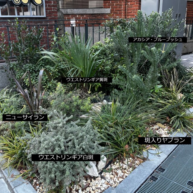 植栽例26