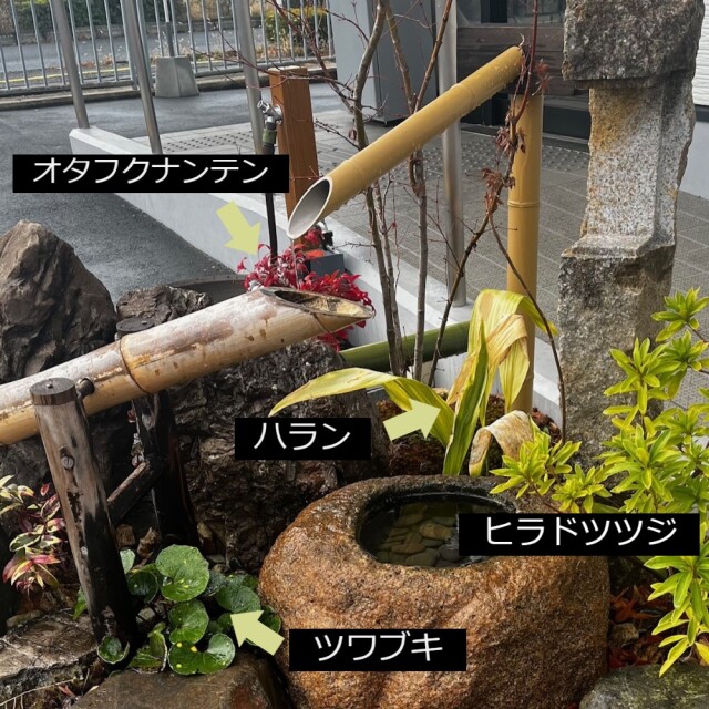 植栽例28
