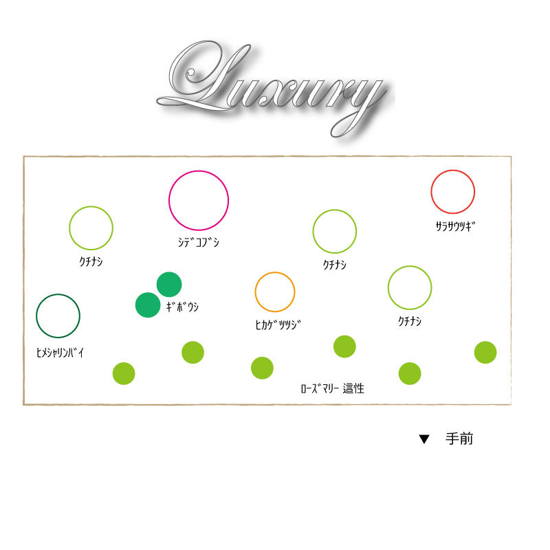 セット　ラグジュアリー 　配置図