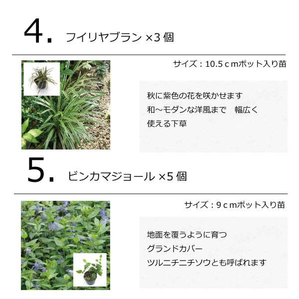 モダンガーデンセット　植木組合