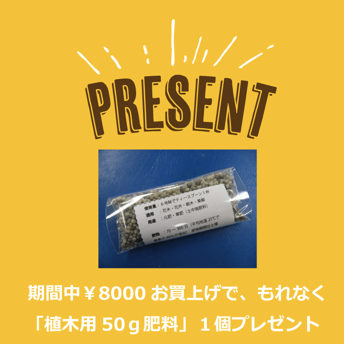 プレゼントキャンペーン　50ｇ　肥料　セール用
