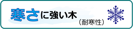 気候条件　寒さに強い