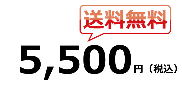 5500円以上送料無料