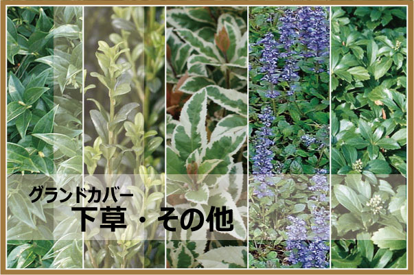 その他 下草 植木組合