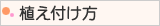 植え方　ボタン