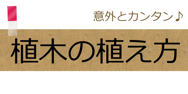 植木庭木の植え方