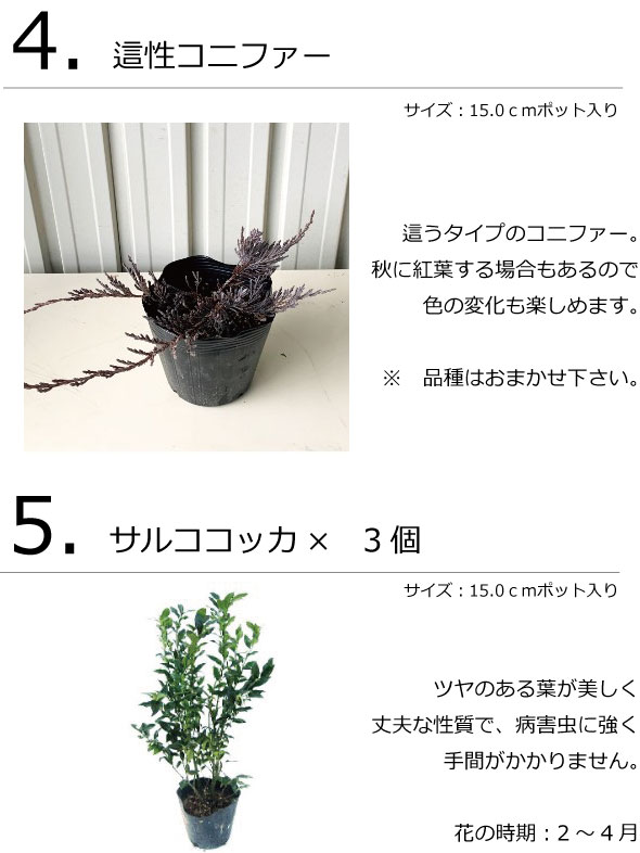 ガーデンセット M アーバン プロ監修 配置案 ガイド 肥料350ｇ 手袋付き 植木組合オリジナル