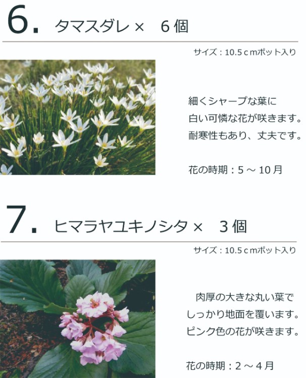 ガーデンセット M アーバン プロ監修 配置案 ガイド 肥料350g 手袋付き 植木組合オリジナル ガーデンセット M アーバン プロ監修 配置案 ガイド 肥料350g 手袋付き 植木組合オリジナル